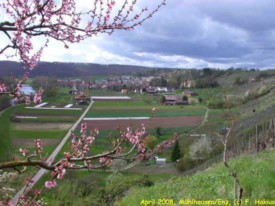 April 2008