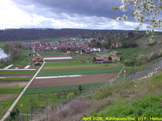 April 2008