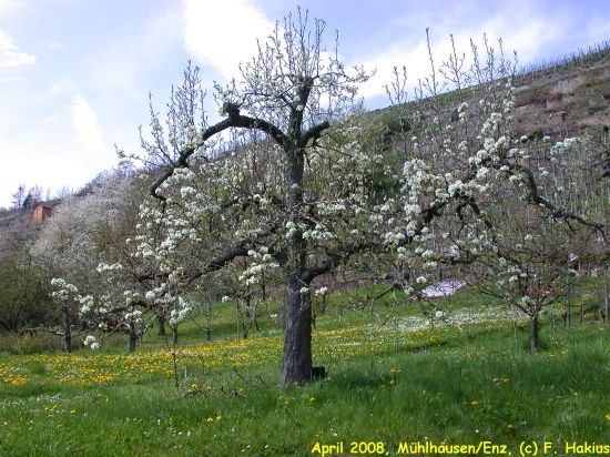 April 2008