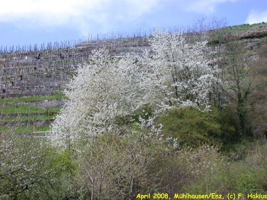 April 2008