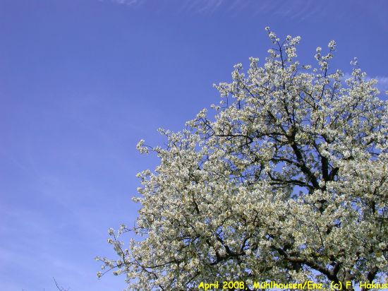 April 2008