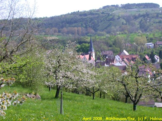April 2008