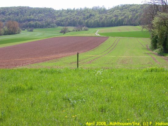 April 2008