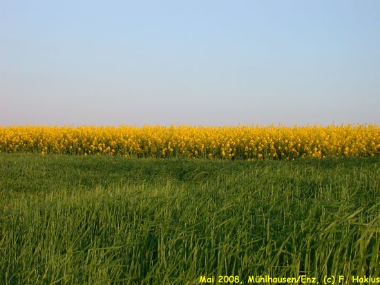 Mai 2008