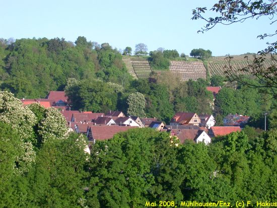 Mai 2008