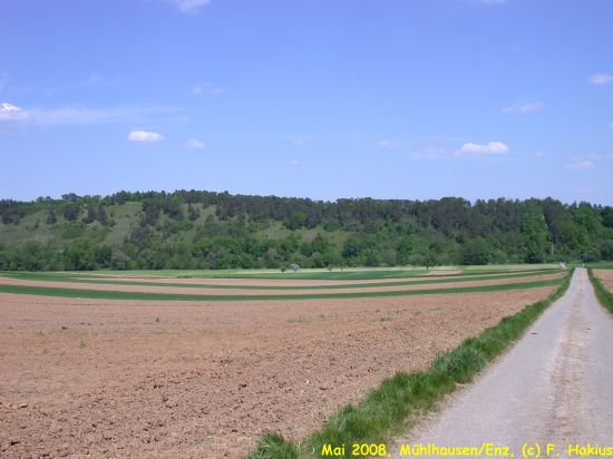 Mai 2008