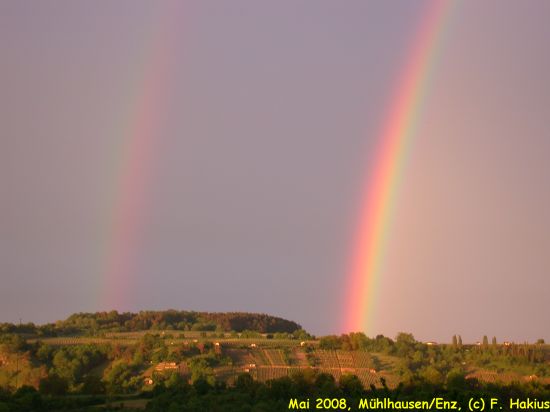 Mai 2008