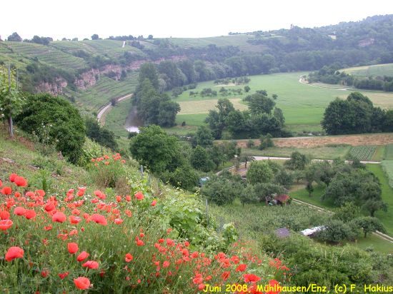 Juni 2008