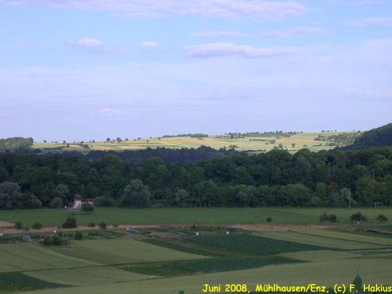 Juni 2008