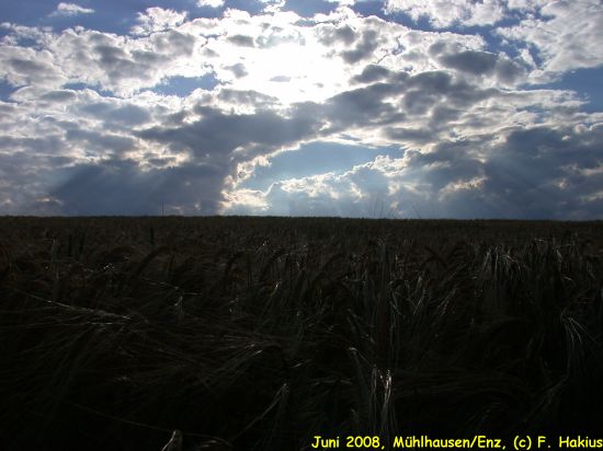 Juni 2008
