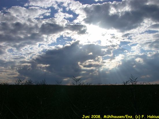 Juni 2008