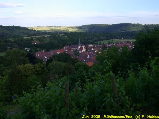 Juni 2008