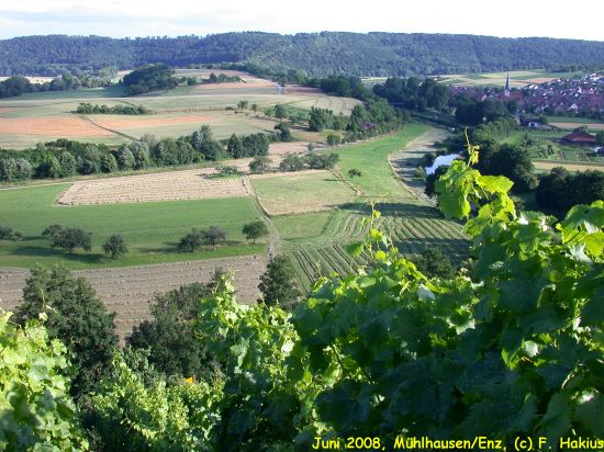 Juni 2008