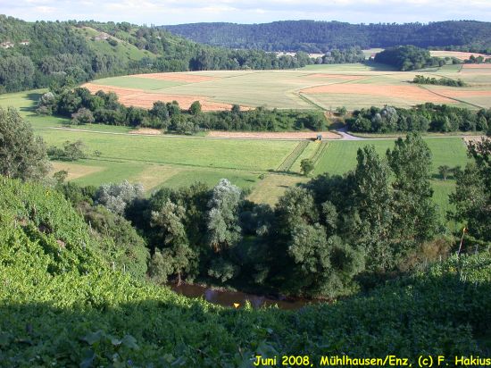 Juni 2008