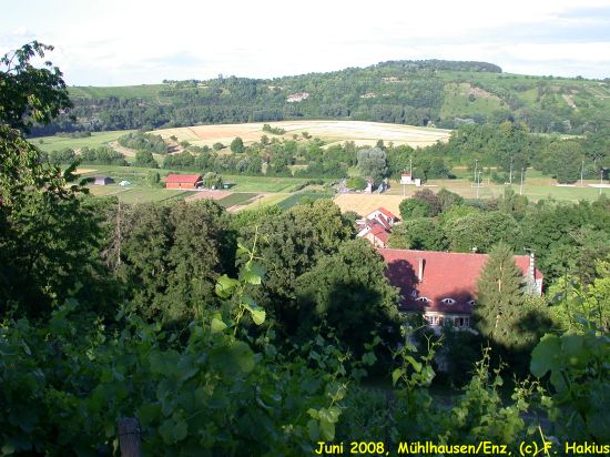 Juni 2008