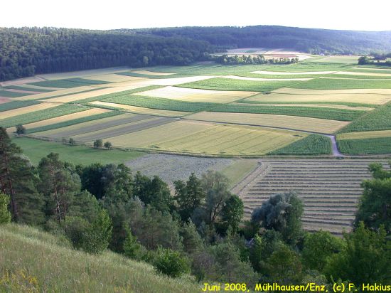 Juni 2008