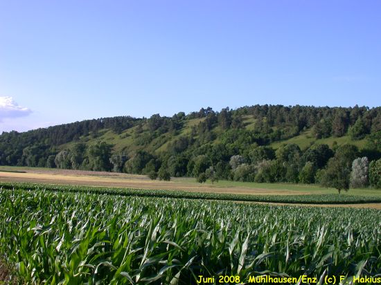 Juni 2008