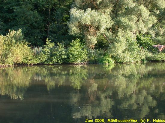 Juni 2008