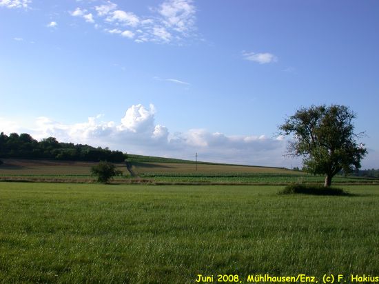 Juni 2008