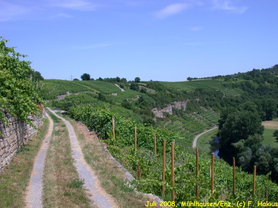 Juli 2008