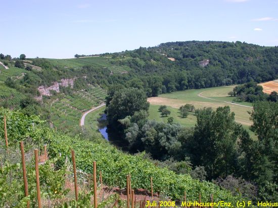 Juli 2008