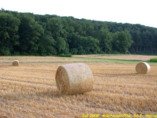 Juli 2008