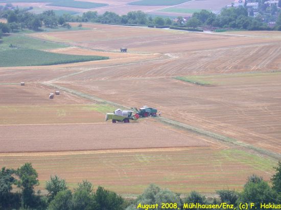 August 2008