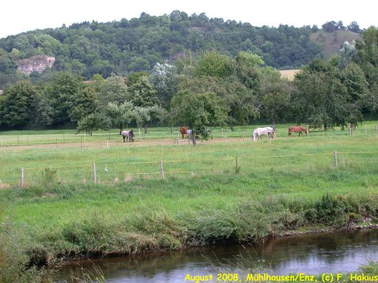 August 2008