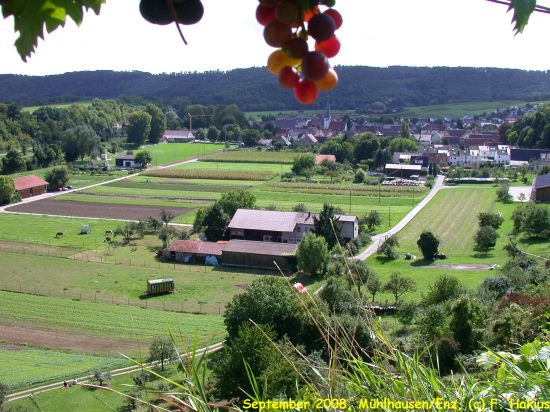 September 2008