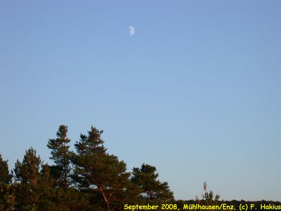 September 2008