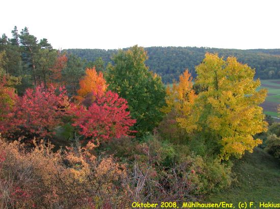 Oktober 2008
