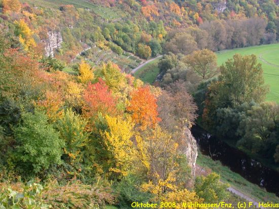 Oktober 2008