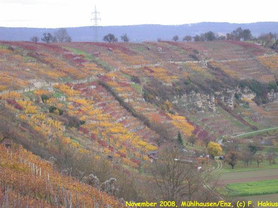 November 2008