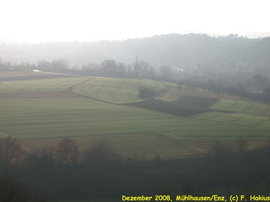 Dezember 2008