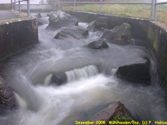 Dezember 2008