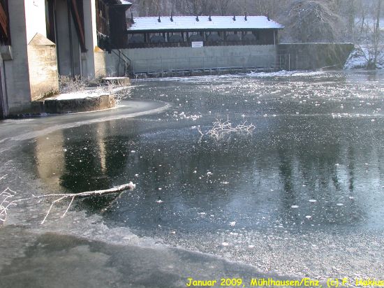 Januar 2009