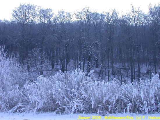 Januar 2009