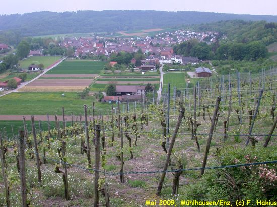 Mai 2009