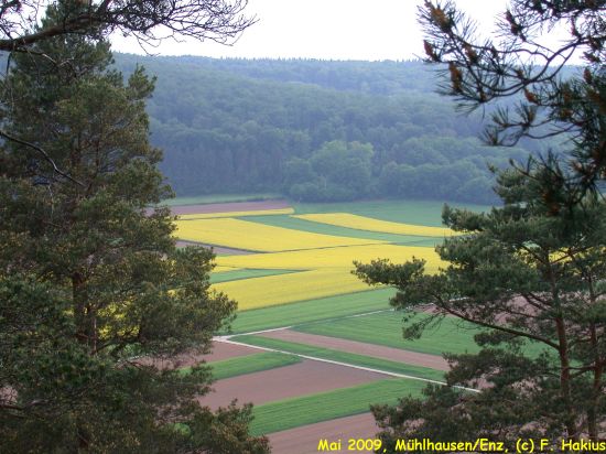 Mai 2009