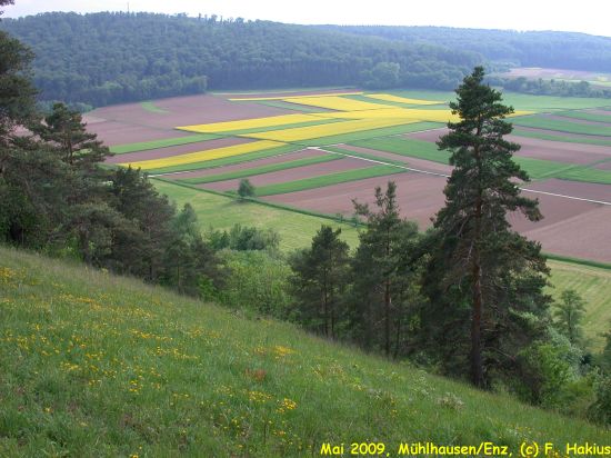 Mai 2009