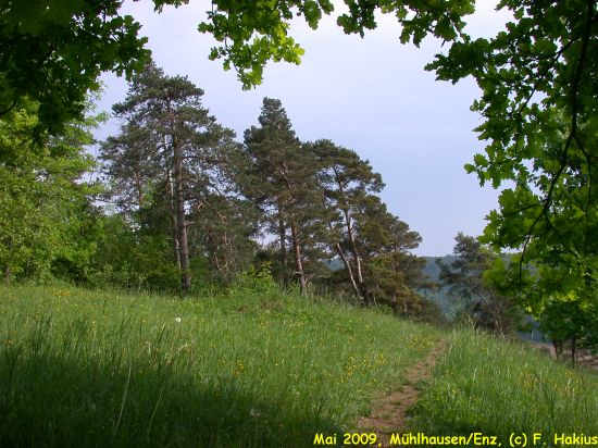 Mai 2009
