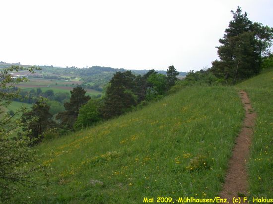 Mai 2009