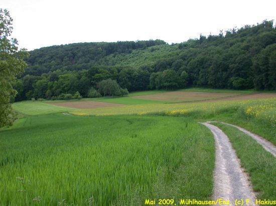 Mai 2009