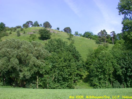 Mai 2009
