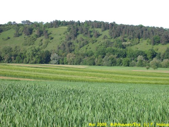 Mai 2009