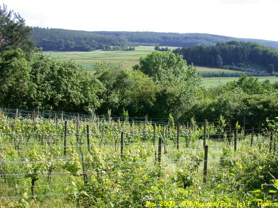 Mai 2009