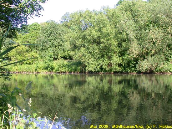 Mai 2009