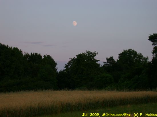 Juli 2009