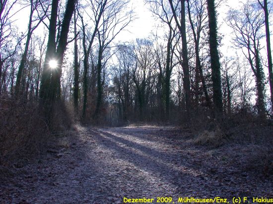 Dezember 2009