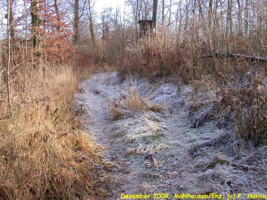 Dezember 2009
